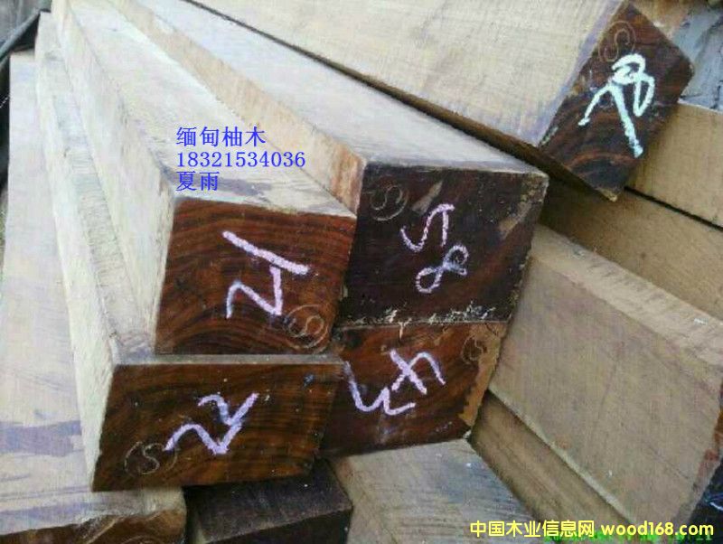 緬甸柚木的詳細(xì)介紹