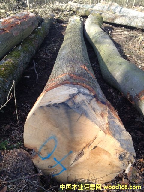 �����Ԕ��(x��)��B