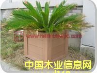 �����Ԕ����B