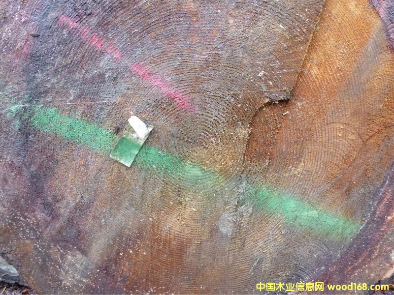 �����ɣ����ô󣩵�Ԕ��(x��)��B