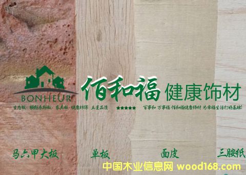 �R���� ���B(t��i)���������¹���Ԕ����B