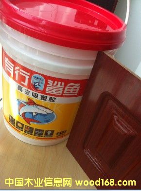 ��������z���S����������z�������ģ���Ч����������z