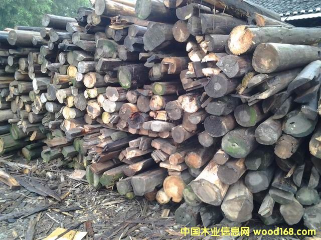 2�������f������������Ԕ����B