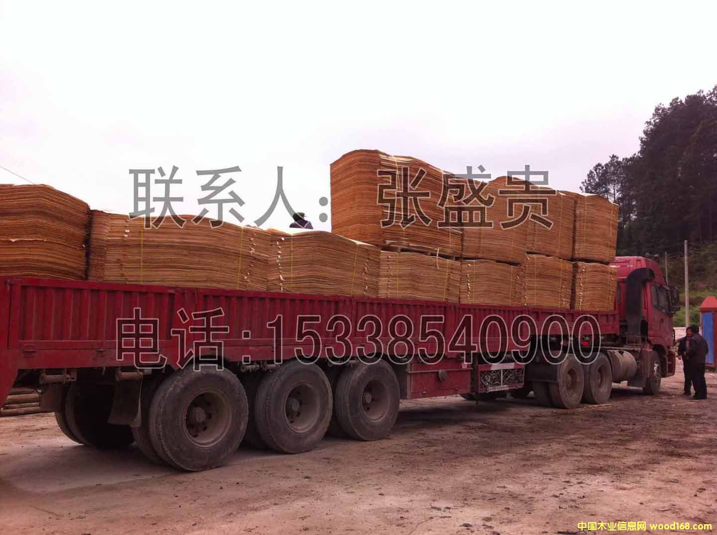 ��ľ�ΰ� ���0.65MM