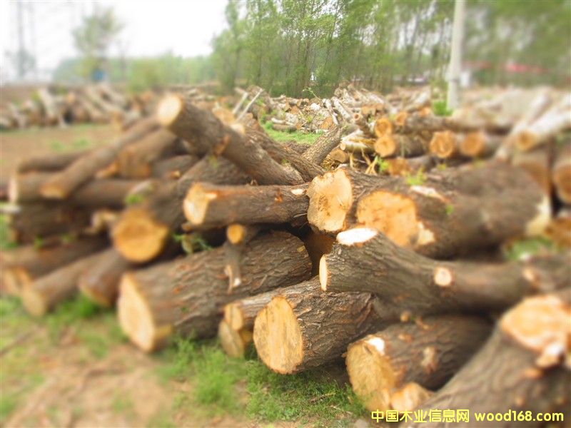 �c���鿴����Ŵ�DƬ