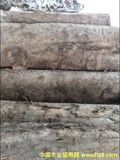 �S��骵�Ԕ����B