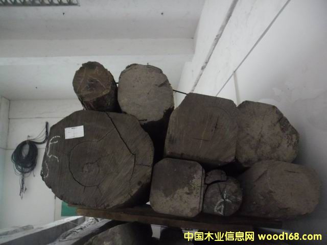 柬埔寨花枝的詳細(xì)介紹