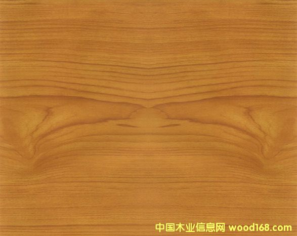 �c(di��n)���鿴��ľ�Ŵ�DƬ