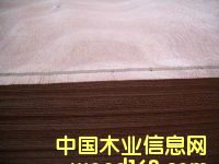 �һ�о��Ƥ��Ԕ����B