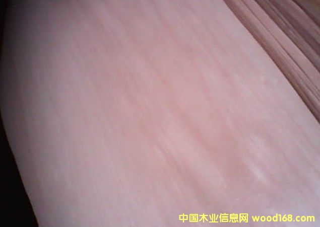 �sľ�ȸ��N�ΰ��Ԕ��(x��)��B