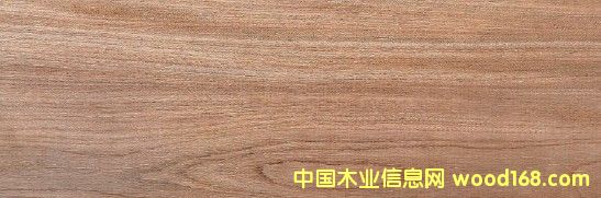 ����(gu��)�M(j��n)����ľ��Ԕ��(x��)��B