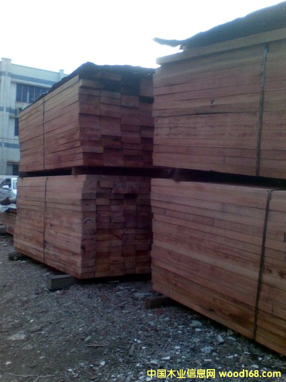 ɽ��ľ��Ԕ����B