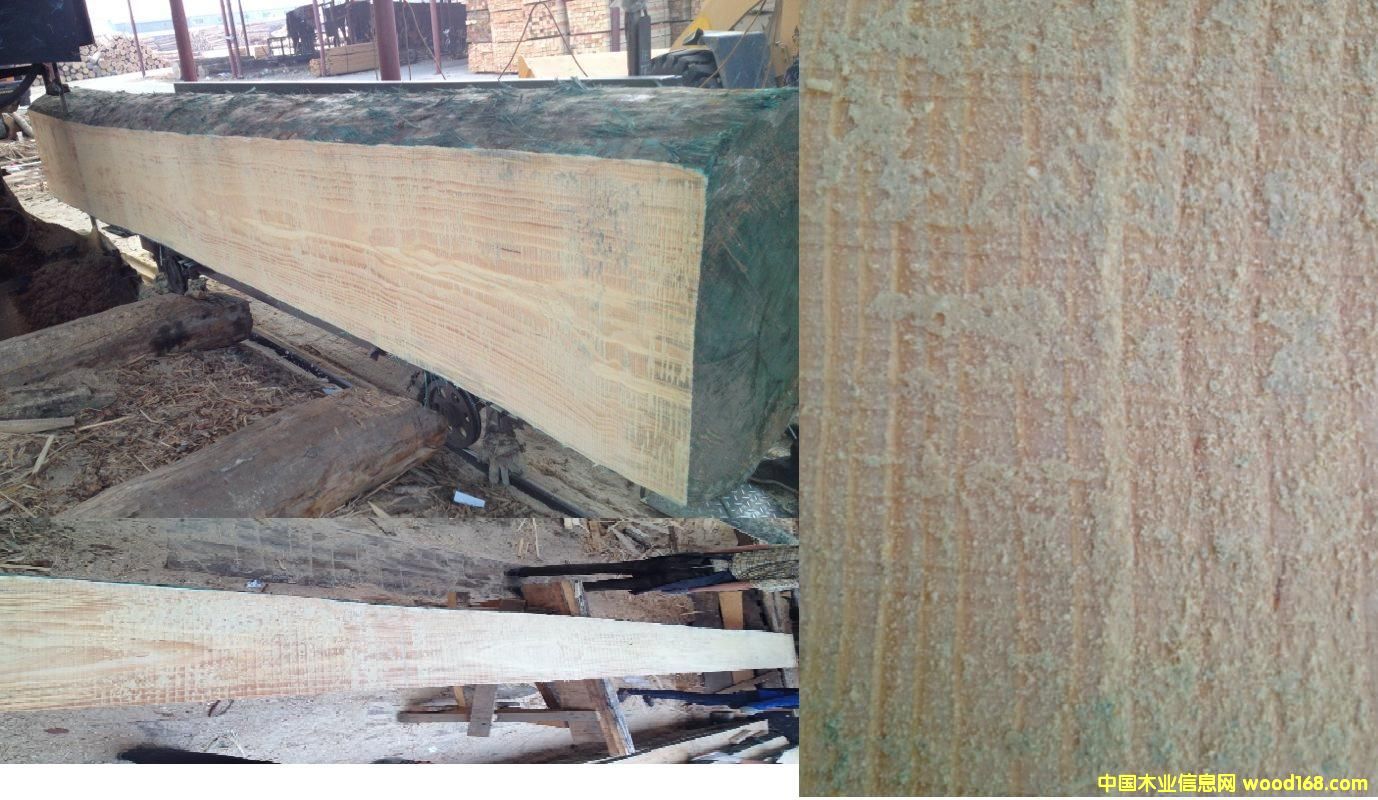 ݗ���ɵ�Ԕ����B