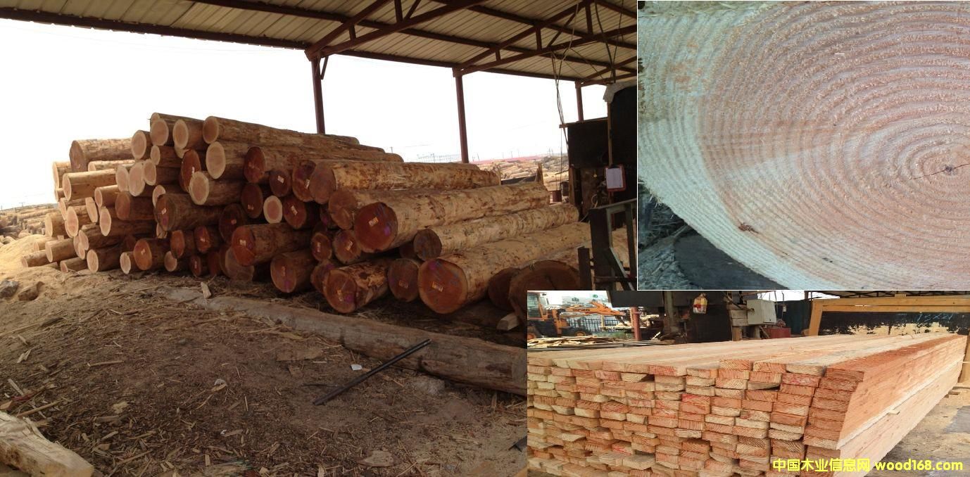 �����ɵ�Ԕ����B