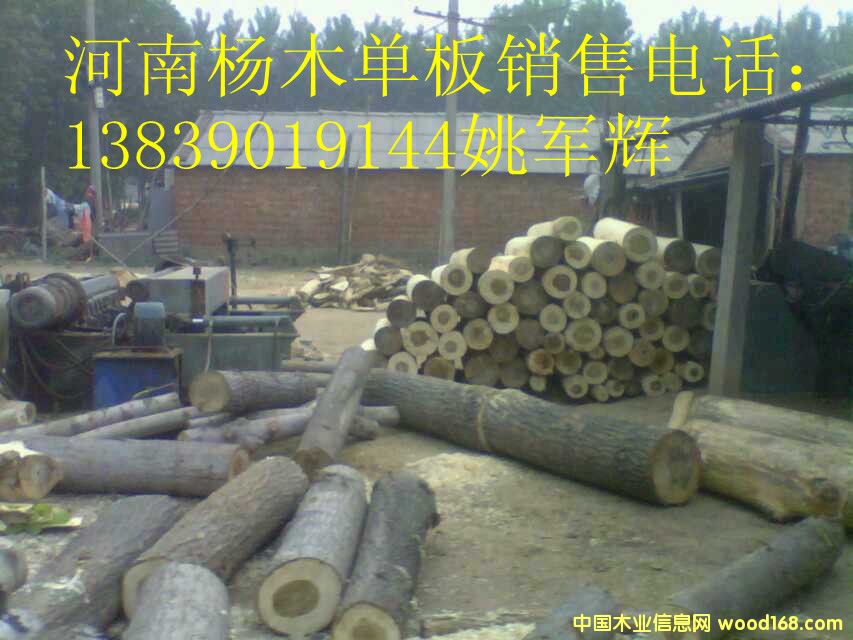 ���ϗ�ľ�ΰ���۵�Ԕ��(x��)��B