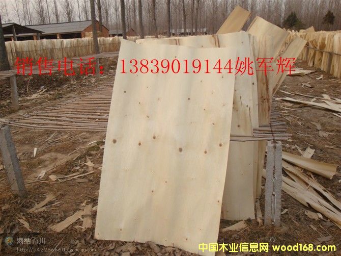 ��ľ�ΰ�۳���N�۵�Ԕ��(x��)��B