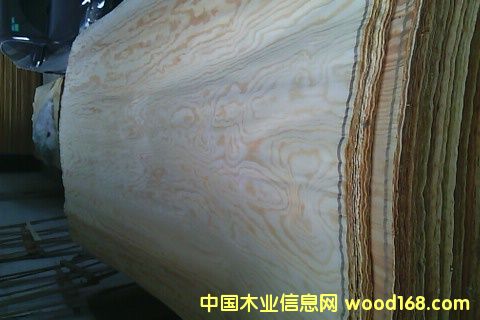 ������ľƤ��Ԕ��(x��)��B