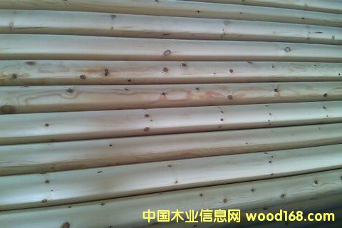 ������ľ�S��Ԕ��(x��)��B