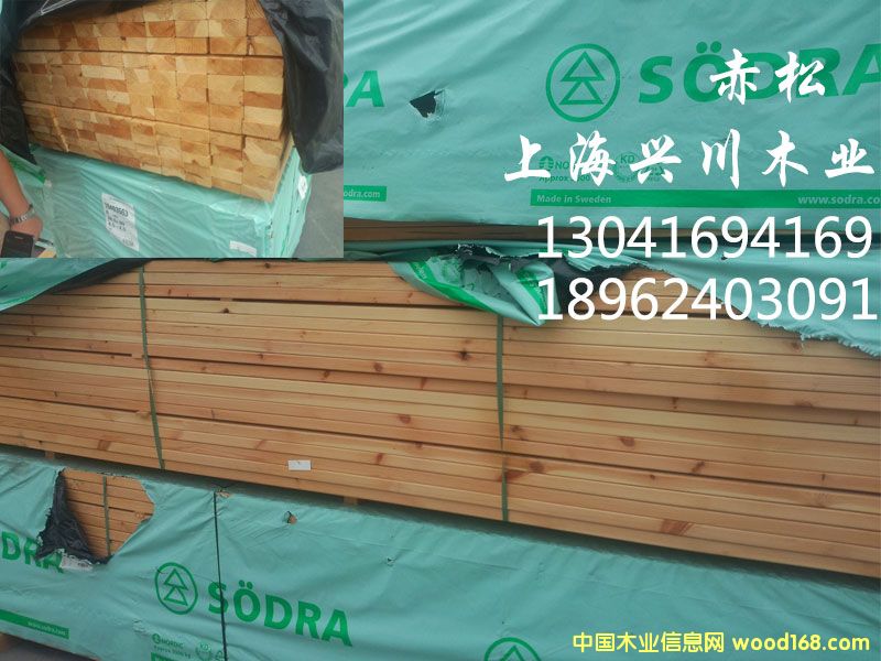 赤松的詳細(xì)介紹