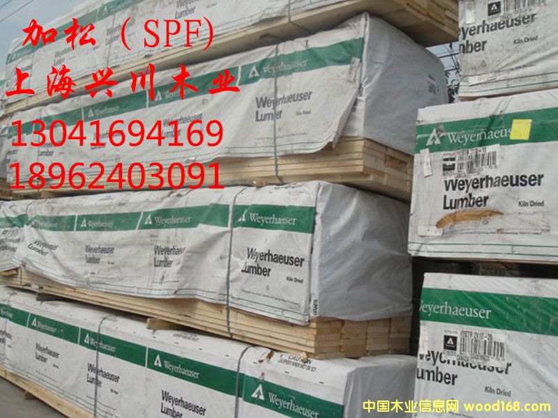 ����-SPF��Ԕ��(x��)��B