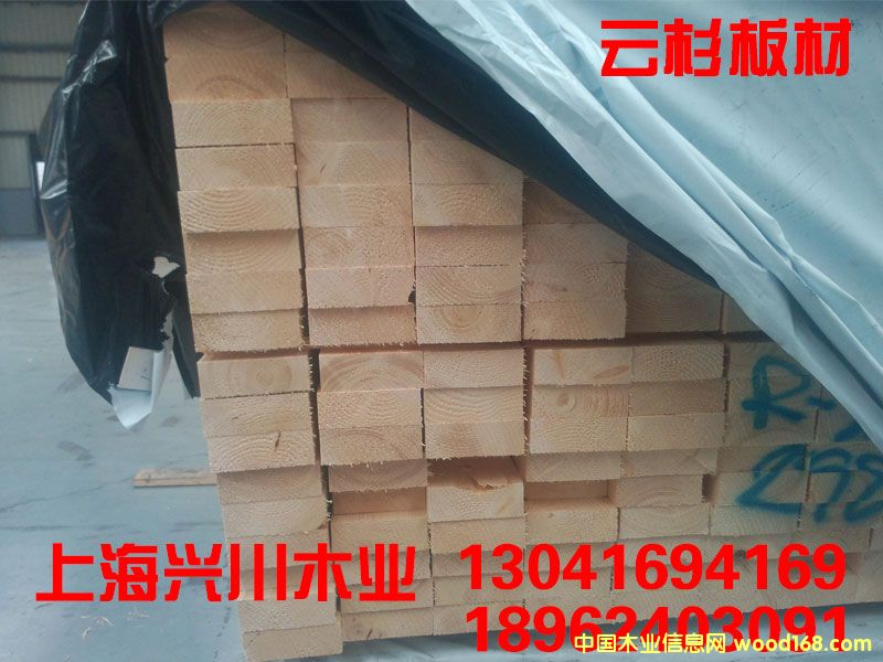 歐洲云杉的詳細(xì)介紹