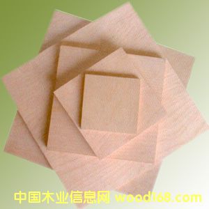 ��ľо�Ҿ߰��Ԕ��(x��)��B