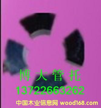 �����ܵ��|ľ