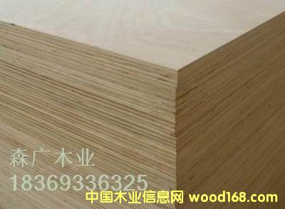 ���N��ȵ� ���Ӱ��b��