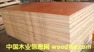 ���B(t��i)�壬���N���е͙n����ľ����