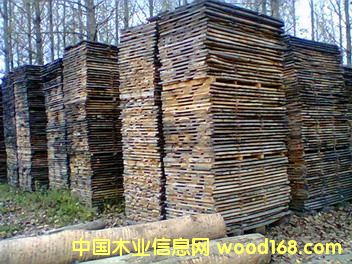 white oak unedged boards��Ԕ��(x��)��B