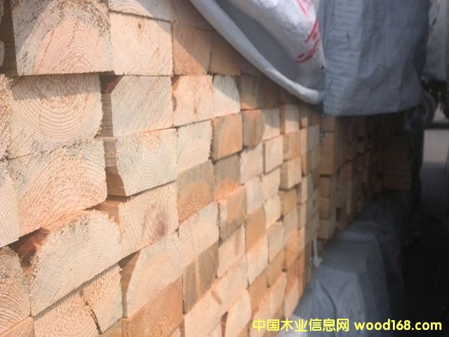 �Ӹ�����SPF2*4*12