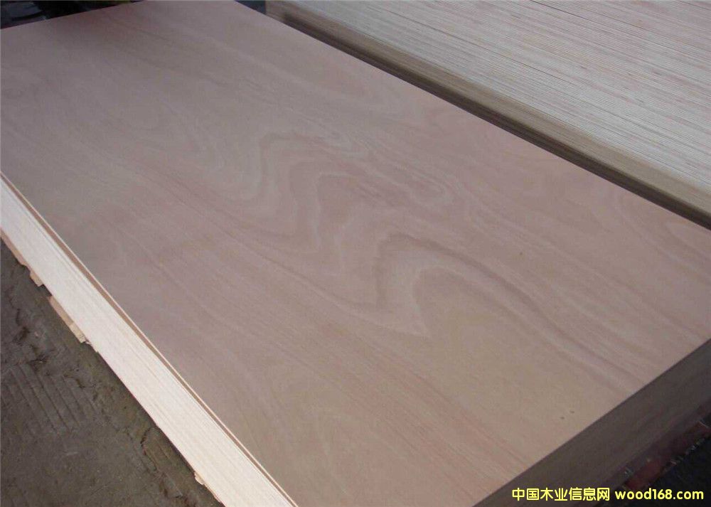 �W������׼Ҿ߰��Ԕ����B