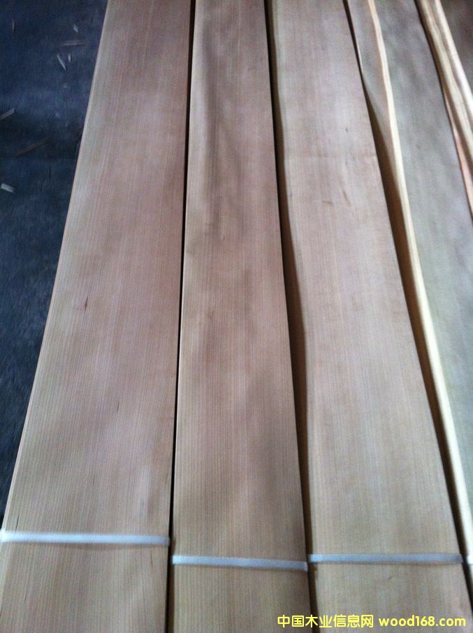 ��������ɽ�yľƤ��Ԕ��(x��)��B