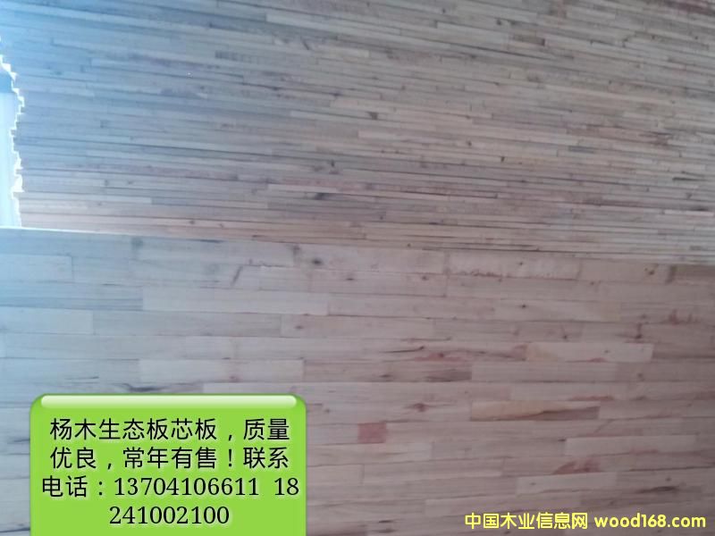 �Pľ���B(t��i)о��һ����Ԕ����B