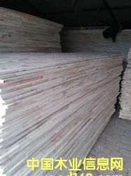 ��ľ���B(t��i)��о���Ԕ����B