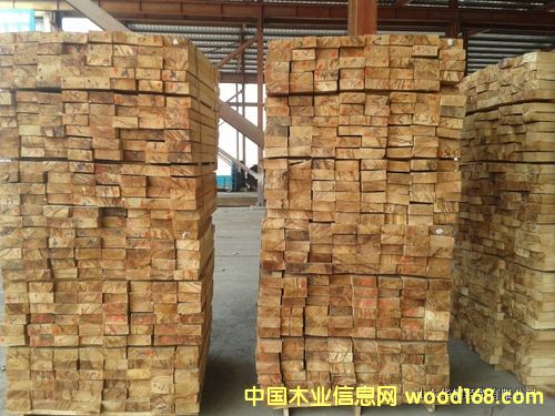 ̩��(gu��)���zľľ��