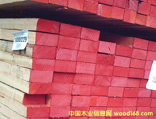 花旗的詳細介紹