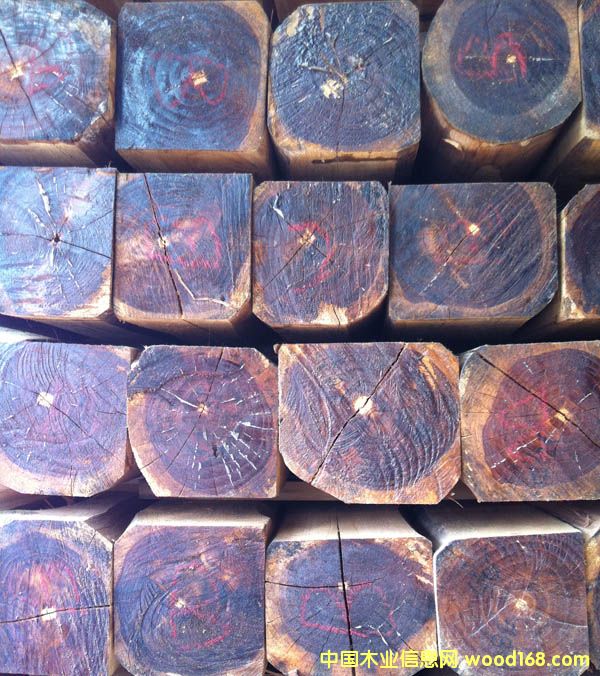 ��˹�_(d��)���������ľ���ĵ�Ԕ��(x��)��B