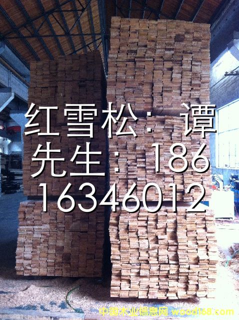 �tѩ�ɵ�Ԕ��(x��)��B