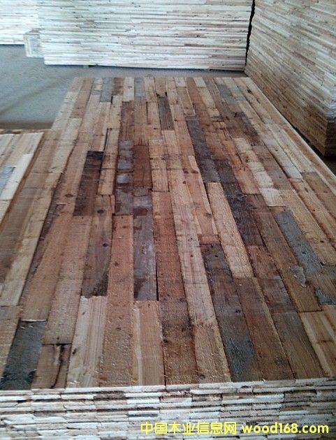 ��(x��)ľ����о  ����(j��)���Ԕ��(x��)��B