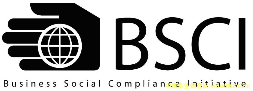 BSCI�(y��n)�S��Ԕ��(x��)��B