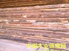 [��] ���_˹����