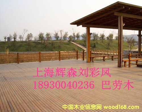 �̈́�ľ�S��