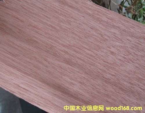 �c(di��n)���鿴�R��(l��i)��������ľ�Ŵ�DƬ