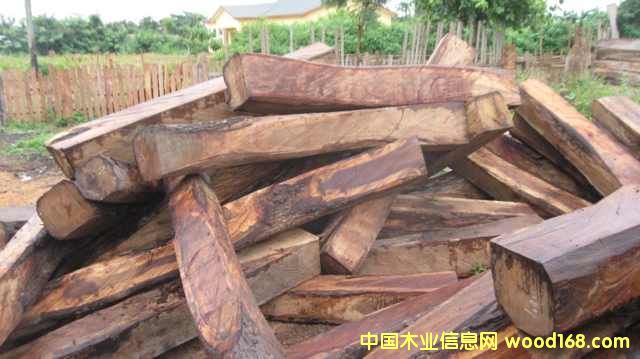 �������Ԕ����B