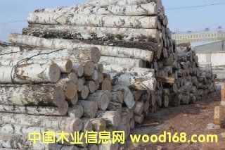 ��ľ��Ԕ����B