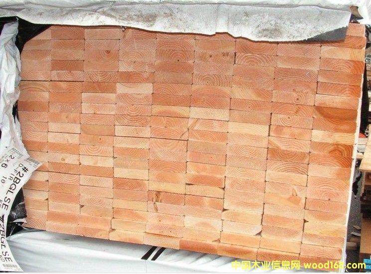 ������/���/����ľ��Ԕ����B