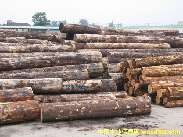 �Fɼ/���ô��Fɼ/�Fɼԭľ��Ԕ����B