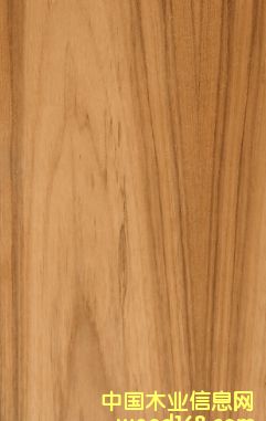 ��ľ��Ԕ��(x��)��B