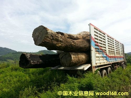 �ϓ뻨���Ԕ��(x��)��B